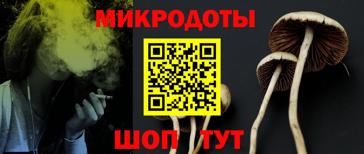 Псилоцибиновые грибы Magic Shrooms  Галлюциногенные грибы GOLDEN TEACHER  Семёнов  Вход с VPN 